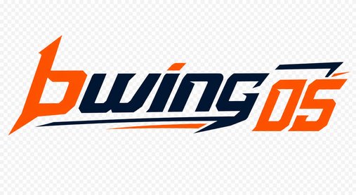 Bwing 05 – Trang chủ